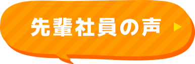 先輩社員の声